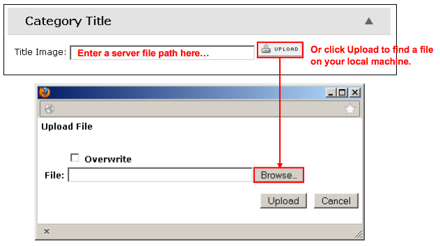 Server File Path